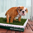 Load image into Gallery viewer, pee pads, potty pads, best artificial grass for dogs, puppy pads, poopeepotty, poopee potty, poo pee potty