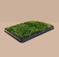 Load image into Gallery viewer, pee pads,potty pads,best artificial grass for dogs, poopeepotty, poopee potty, poo pee potty