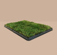 Load image into Gallery viewer, pee pads,potty pads,best artificial grass for dogs, poopeepotty, poopee potty, poo pee potty
