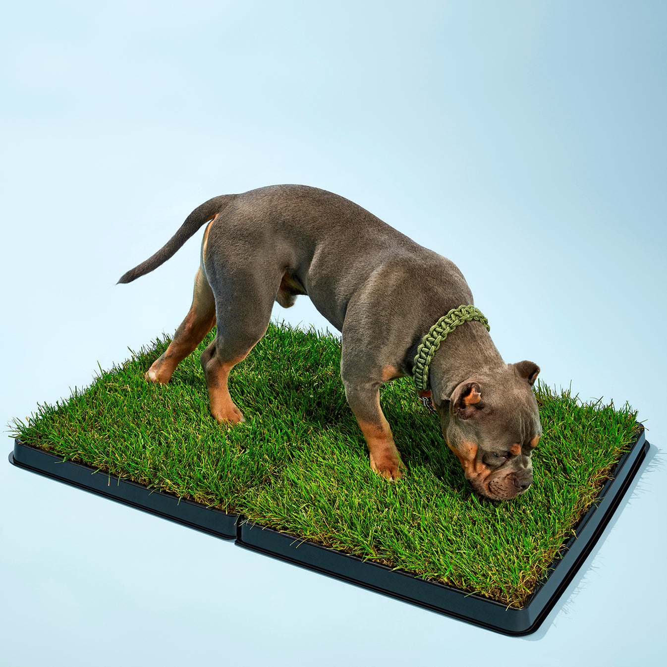 Reusable Infinity Tray Pooch Patch